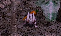 070729primanbo1.jpg