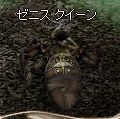 20080919zq.jpg